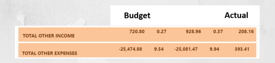 Example Other Income Budget vs. Actual chart