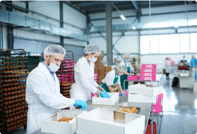 Employees working in manufacturing plant sorting food items